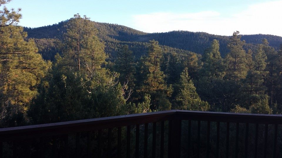 View from cabin in Prescott